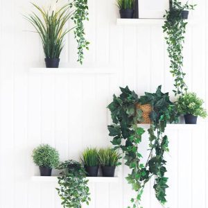 green interior design shelves with houseplants